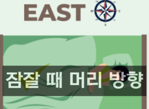 잠잘 때 머리방향의 정답