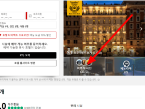 트립어드바이져 여행객 사진