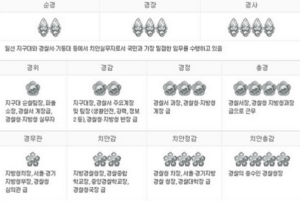경찰 계급표와 직급별로 하는일 정리