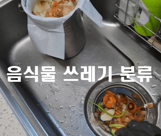 [최신] 귤껍질 일반쓰레기 (음식물과 일반 구분하기)