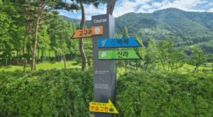 [최신] 중원cc 후기 및 맛집