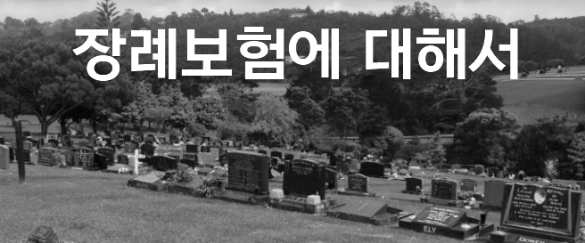 [필독] 삶의 마지막을 대비하는 똑똑한 선택 장례보험 정보