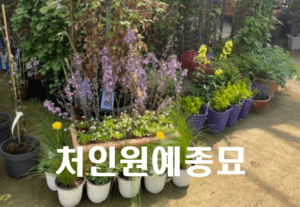 원예 초보자 처인원예종묘 가이드