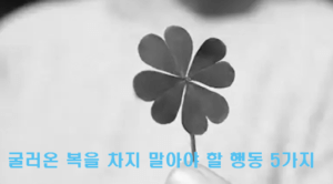 굴러온 복을 차지 말아야 할 행동 5가지