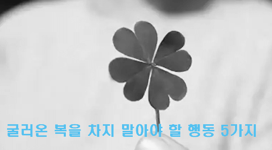 굴러온 복을 차지 말아야 할 행동 5가지