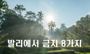 [최신] 발리에서 절대 하지 말아야 할 일 8가지