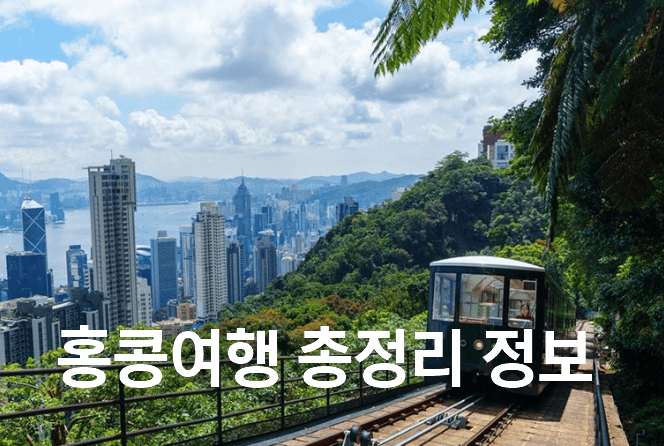 [최신] 홍콩여행 정보 총정리 (시차, 날씨, 교통수단, 이심까지)
