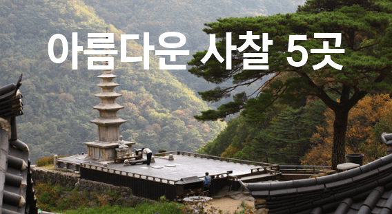 죽기전에 가봐야 할 한국에서 가장 아름다운 사찰(절) 5곳 추천