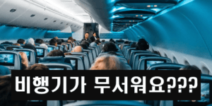 비행기 공포증을 없애는 방법 (통계를 비교해 보면 안전)