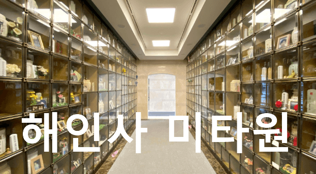 도심 속 힐링 스팟, 해인사 미타원 - 당신의 마음을 치유할 숨겨진 보석 같은 장소